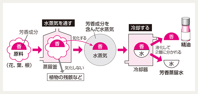 ユーキャンアロマテラピー検定講座のテキスト